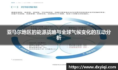 亚马尔地区的能源战略与全球气候变化的互动分析